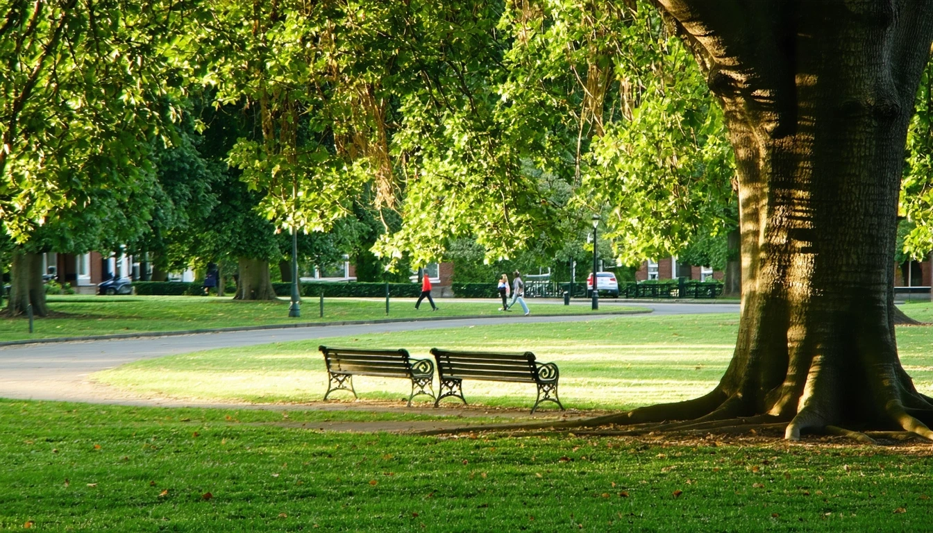 A serene park lawn shaded by oak trees, with empty benches and golden-hour light in a suburban setting.