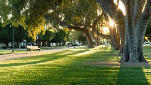 What Costs People Most in San Jose (and Why)